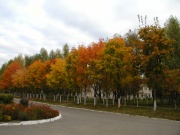 P1010013.JPG